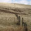 Pentland Hills