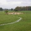Hovingham